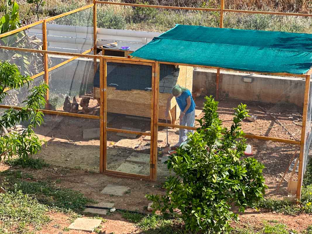 Familie auf Weltreise Hühnerstall selber bauen