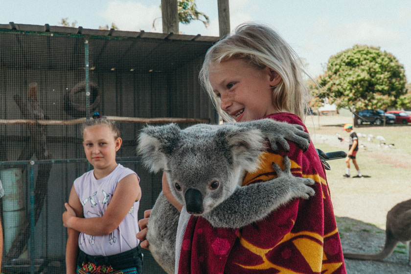 Familie auf Weltreise Australien Schule Visum Koala