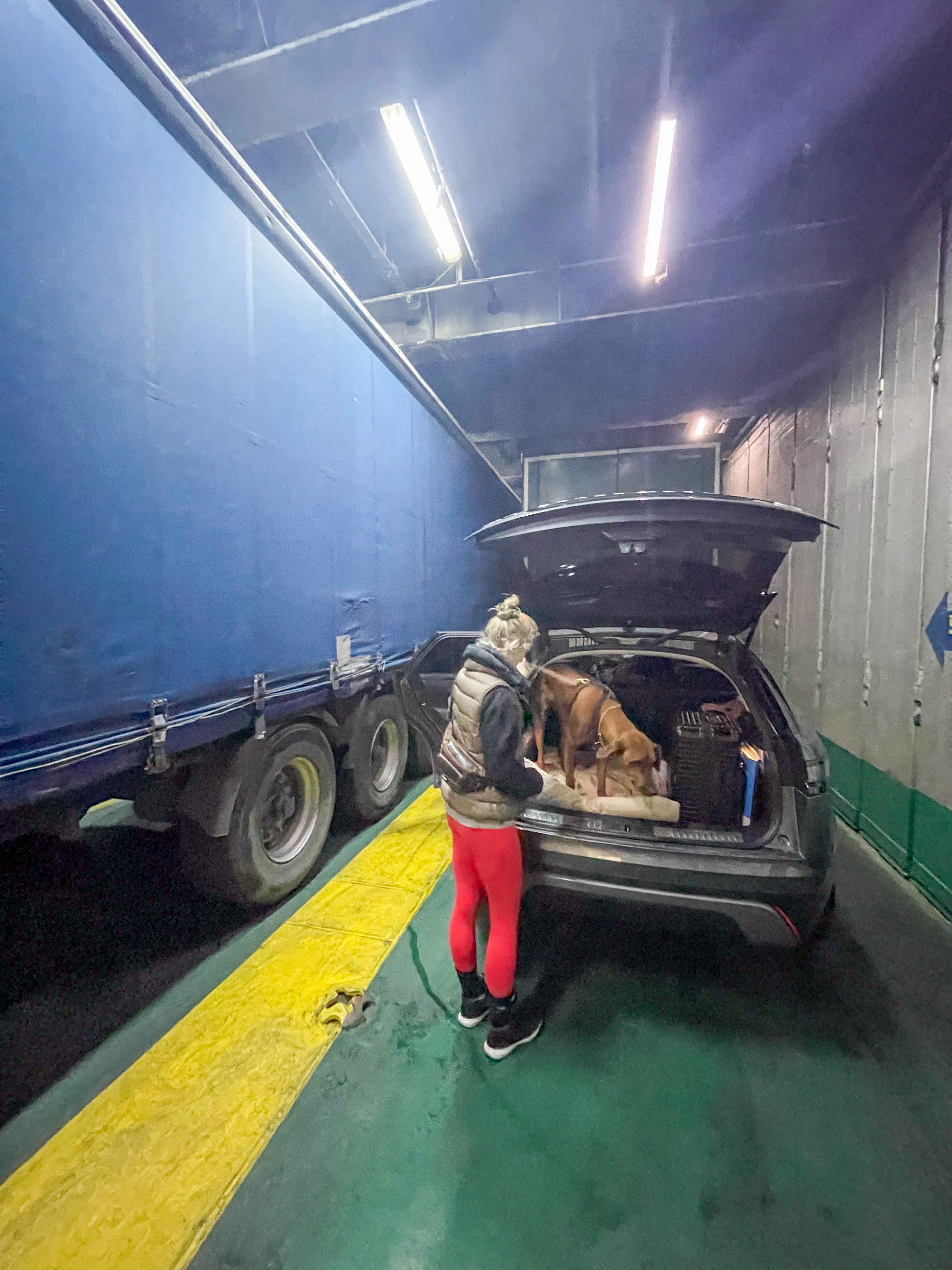 Familie auf Weltreise mit dem Hund von und nach Zypern Hund im Kofferraum