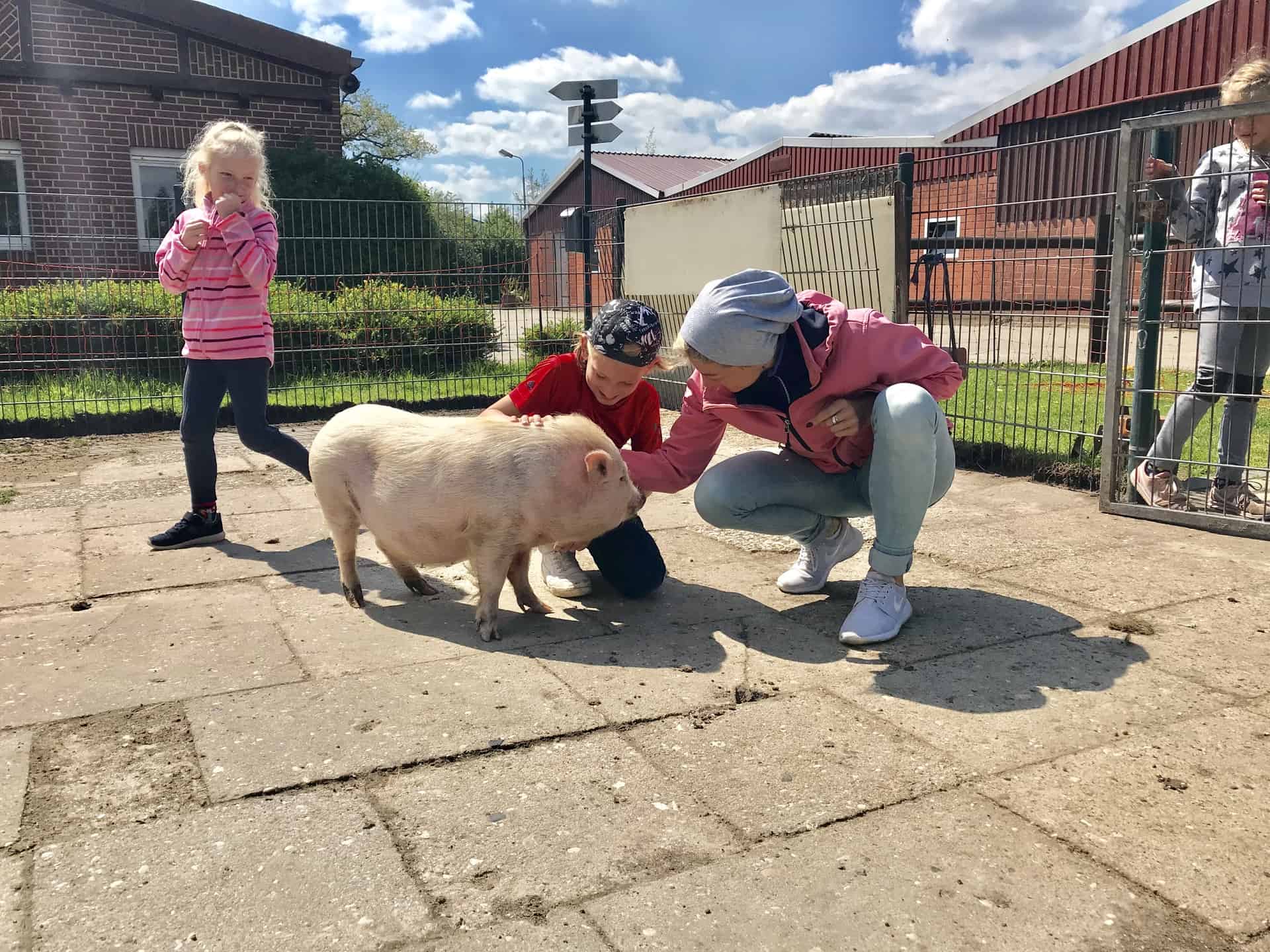 Familie auf Weltreise Casamundo Zirkuswagen Schwein